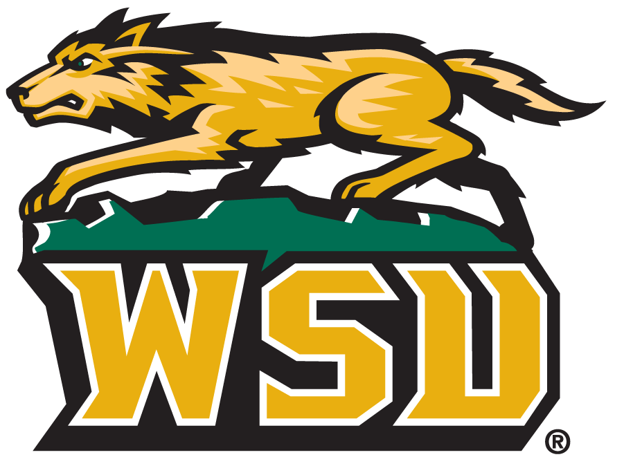 Wright State Raiders 1997-2013 Secondary Logo diy iron on heat transfer